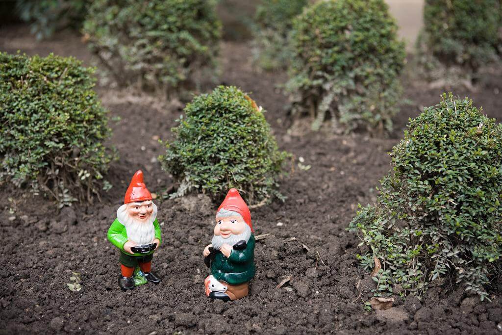 dwarfs libertine garden