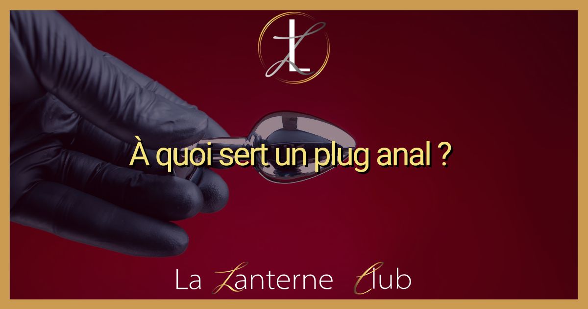 a-quoi-ça-sert-plug